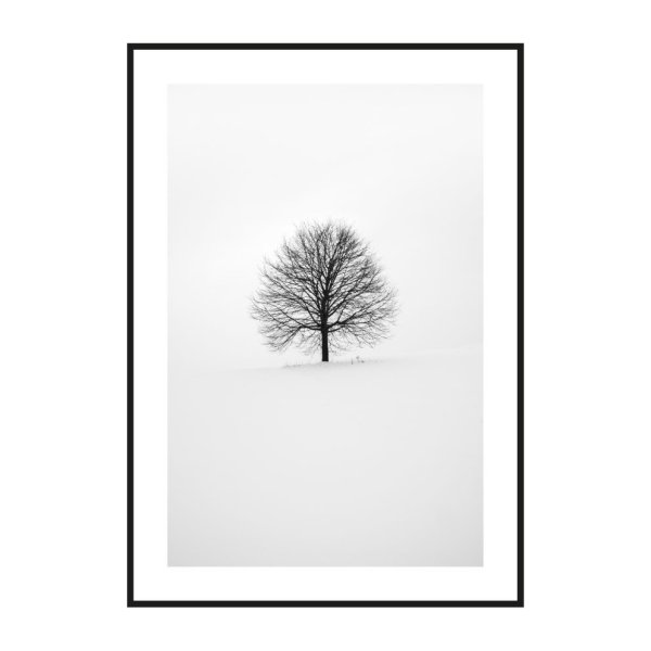 Черно-белые постеры для интерьера