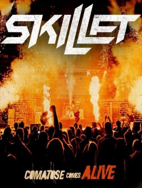 Постер группы Skillet