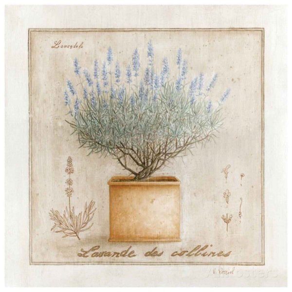 Прованские травы для декупажа