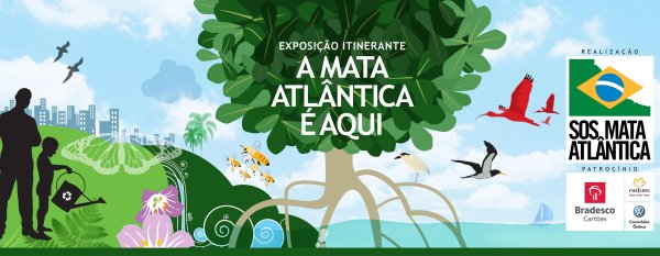 Защита тропических лесов плакат