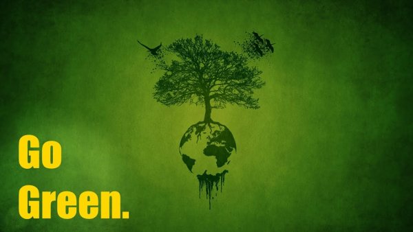 Save the Rainforests