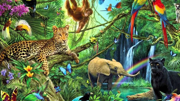 Спасем тропические леса