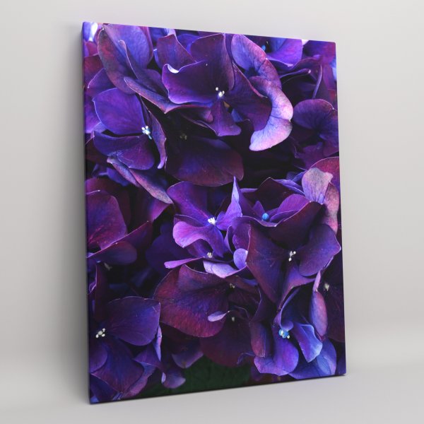 Цветочные постеры в интерьере