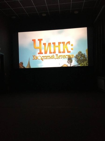 Чинк хвостатый детектив