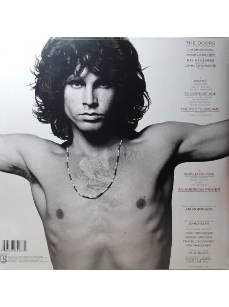 The Doors Джим Моррисон плакат