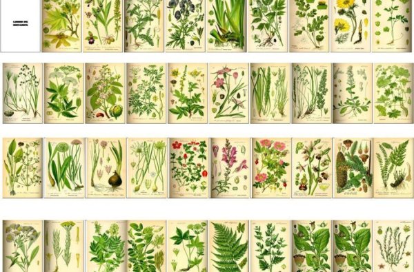 Обложки для миниатюрных книг