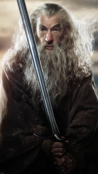 The Hobbit: the Desolation of Smaug. 2013 Постер