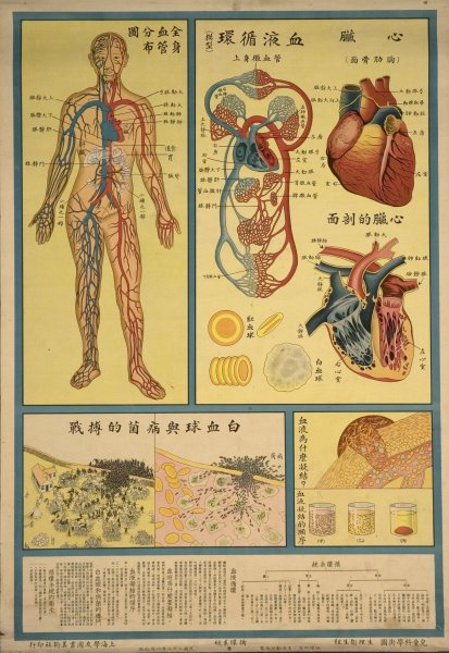 Медицинские плакаты