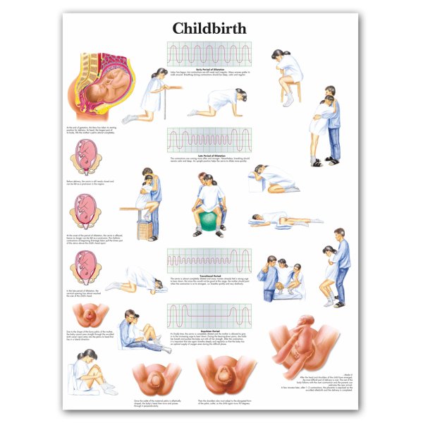 Медицинские плакаты
