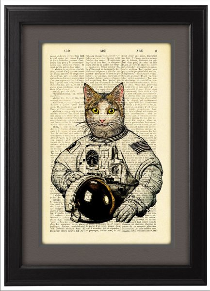 Кот с плакатом