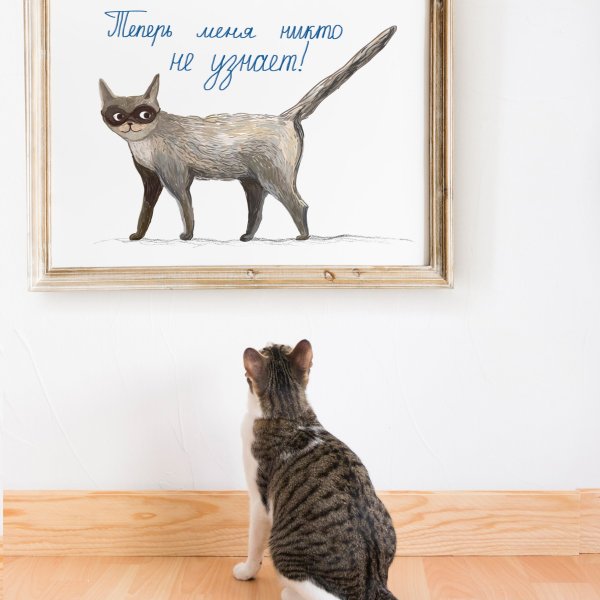 Плакаты с котиками