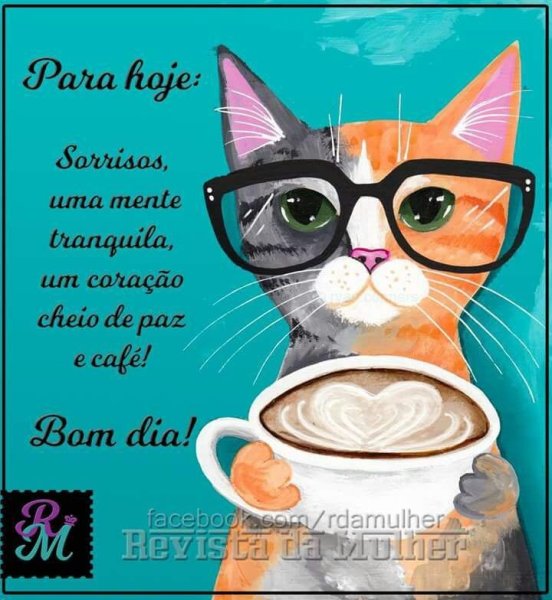 Мультяшные коты в очках