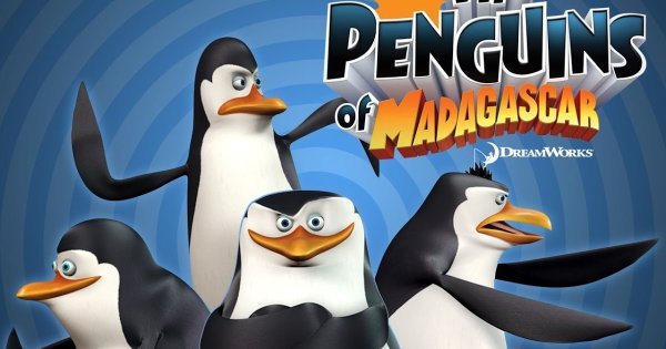 Пингвины Мадагаскара