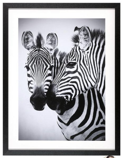 Постеры с лошадьми для интерьера