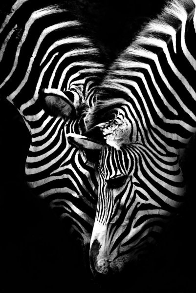 Олень в скандинавском стиле