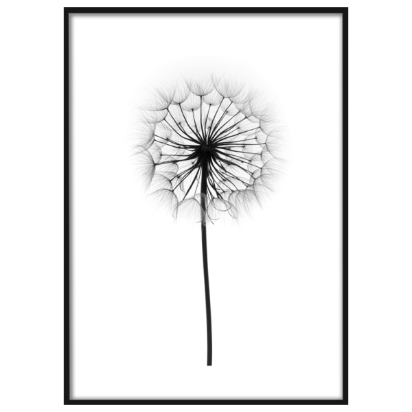 Постер "одуванчики"