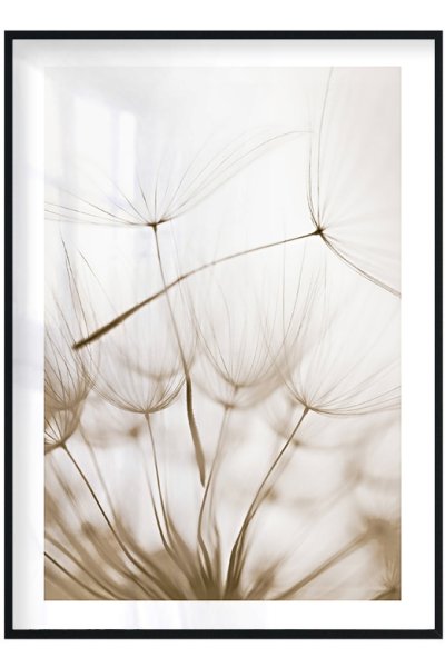 Одуванчик Минимализм