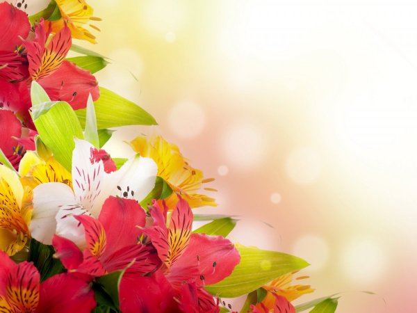 Красивый фон для поздравления