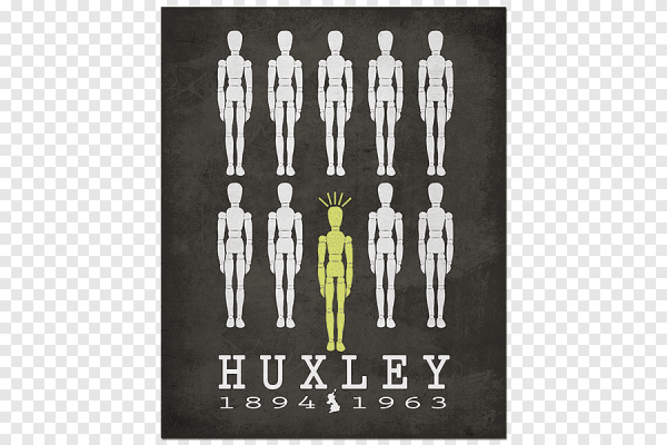 Шаг вперед 3д обложка