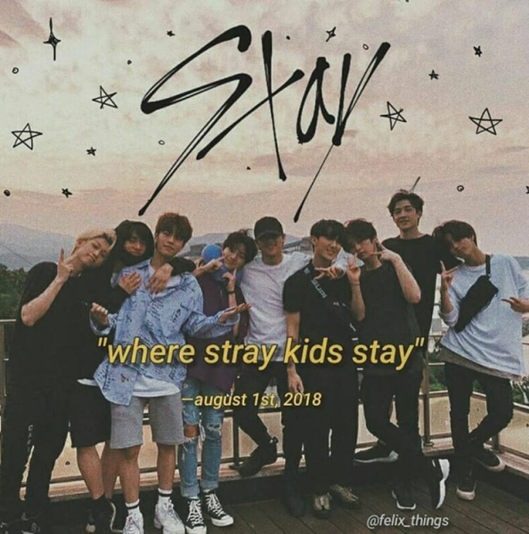 Эстетика stay Stray Kids