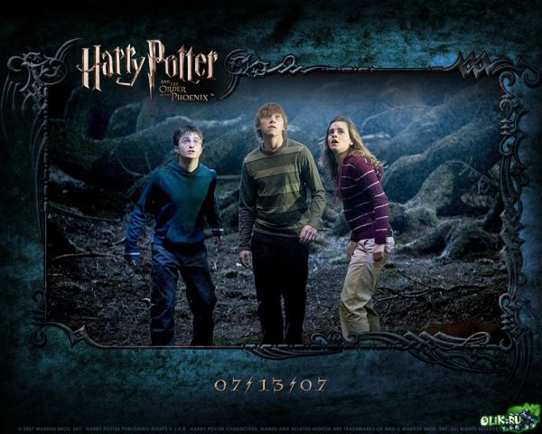 Гарри Поттер и орден Феникса (2007) Постер