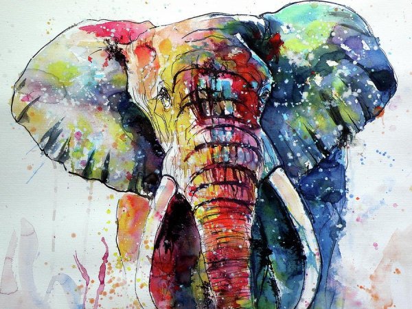 Слоны плакат