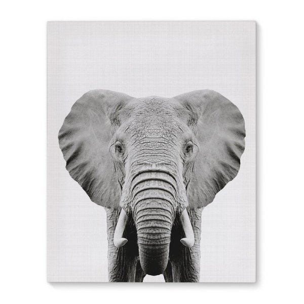 Абстракционизм слон