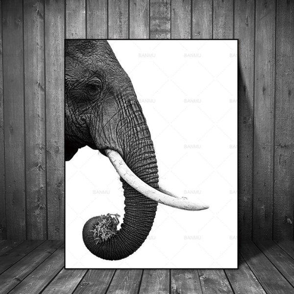 Слон на черном фоне