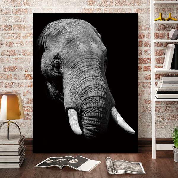 Слон картина на стену