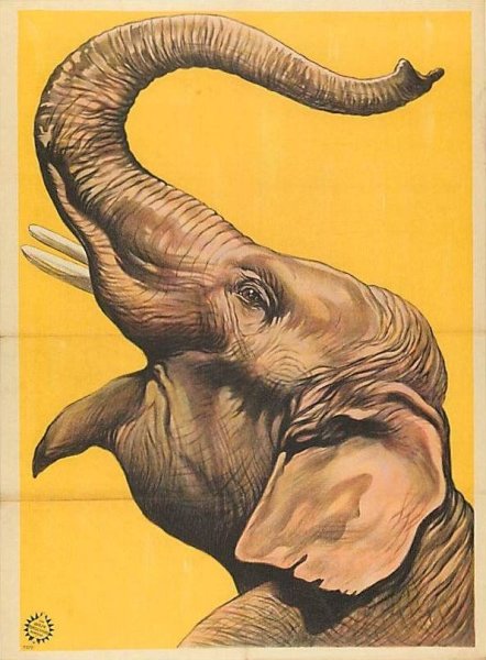 Постеры со слонами