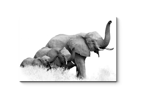 Интерьерная живопись для детской