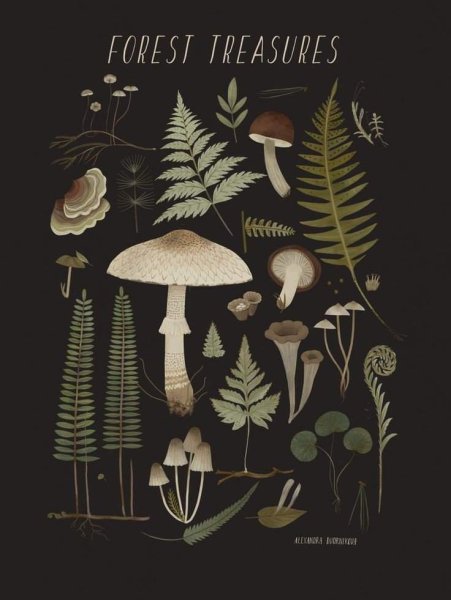 Постеры с грибами