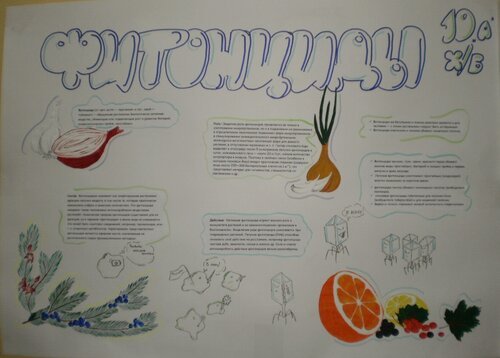 Многообразие живых организмов