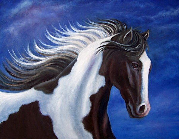 Постеры с конями