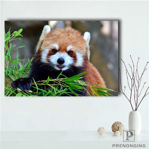 Животные из красной книги красная Панда сообщение