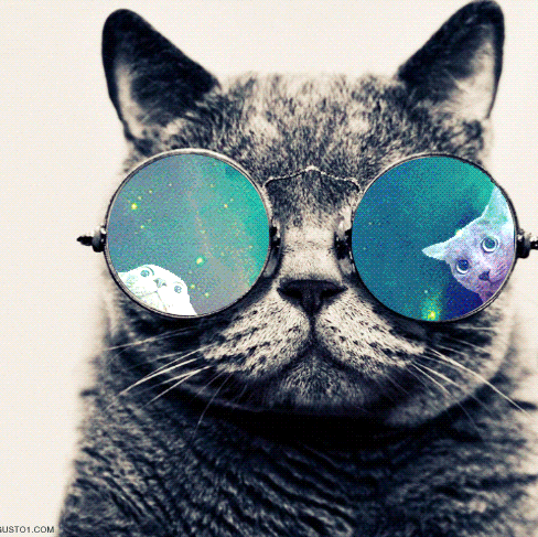 Интерьерная живопись коты