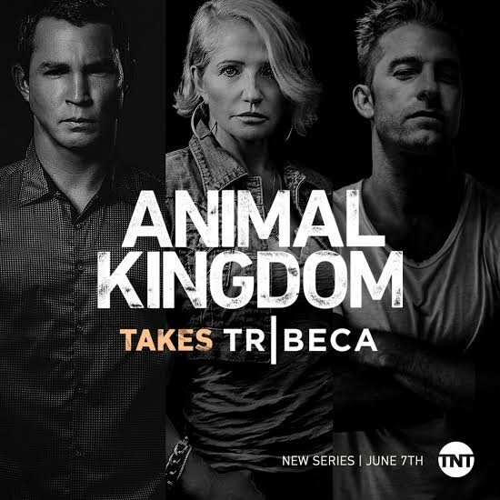 Animal Kingdom сериал Постер