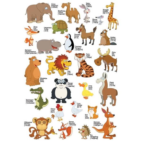 Вокабуляр животные английский