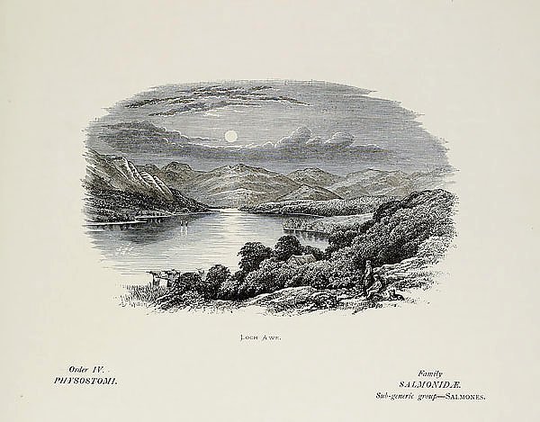 Плакат офорт