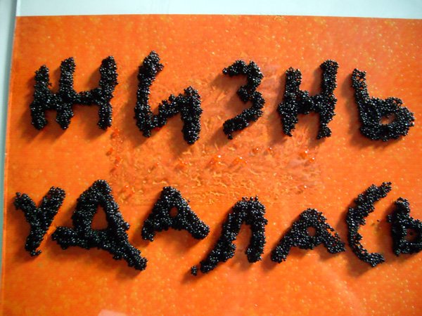 Жизнь удалась