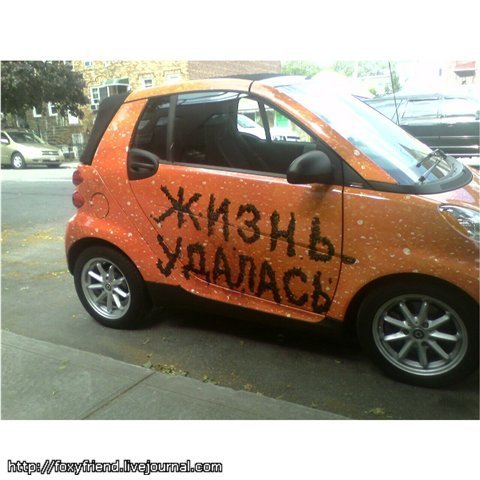 Счастье есть демотиватор