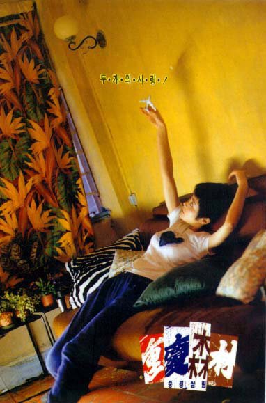 Чунгкингский экспресс Постер арт