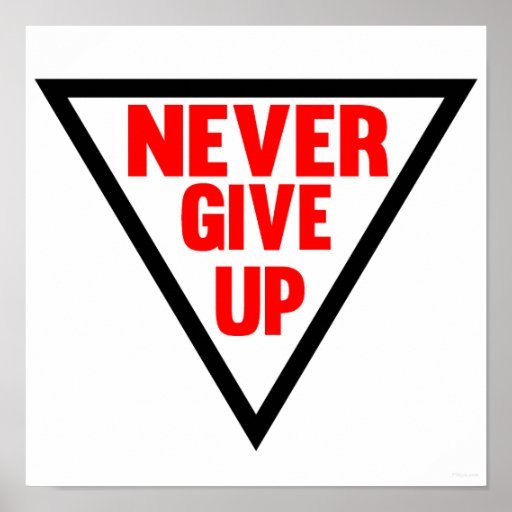 Never give up кот