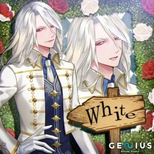 The Fate of Wonderland новелла