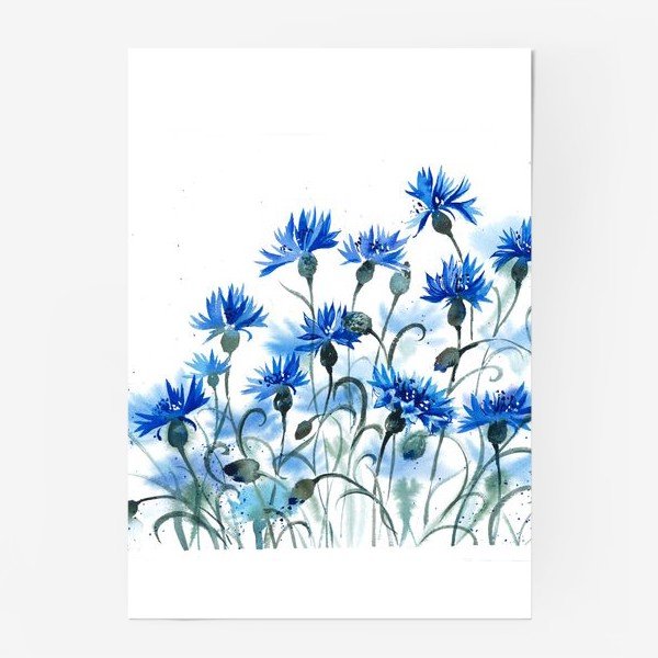 Растительный орнамент васильки