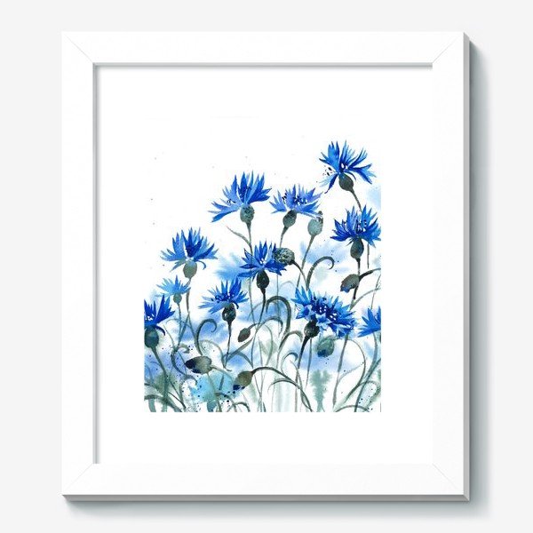 Постеры с васильками