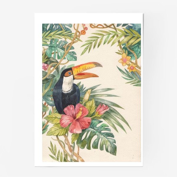 Туканы. Художник Джон Гульд