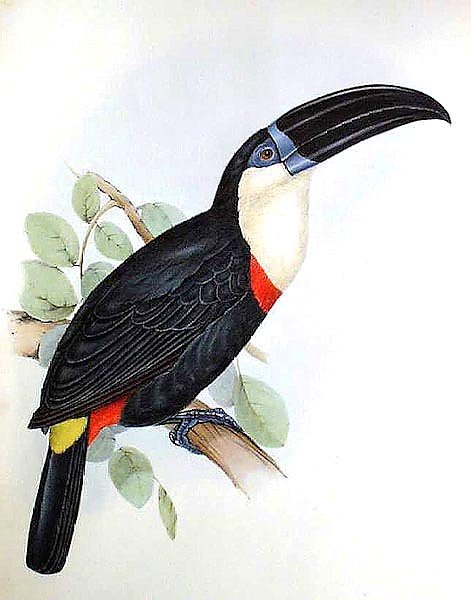 Паспарту в интерьере