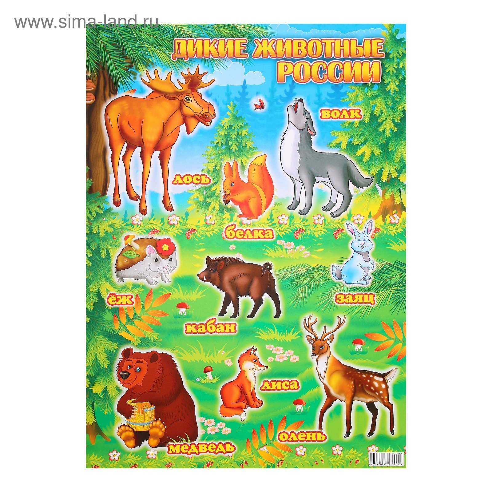 Дикие животные России плакат
