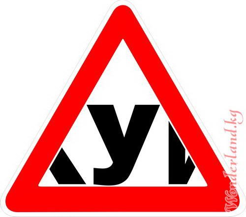 Наклейка начинающий водитель